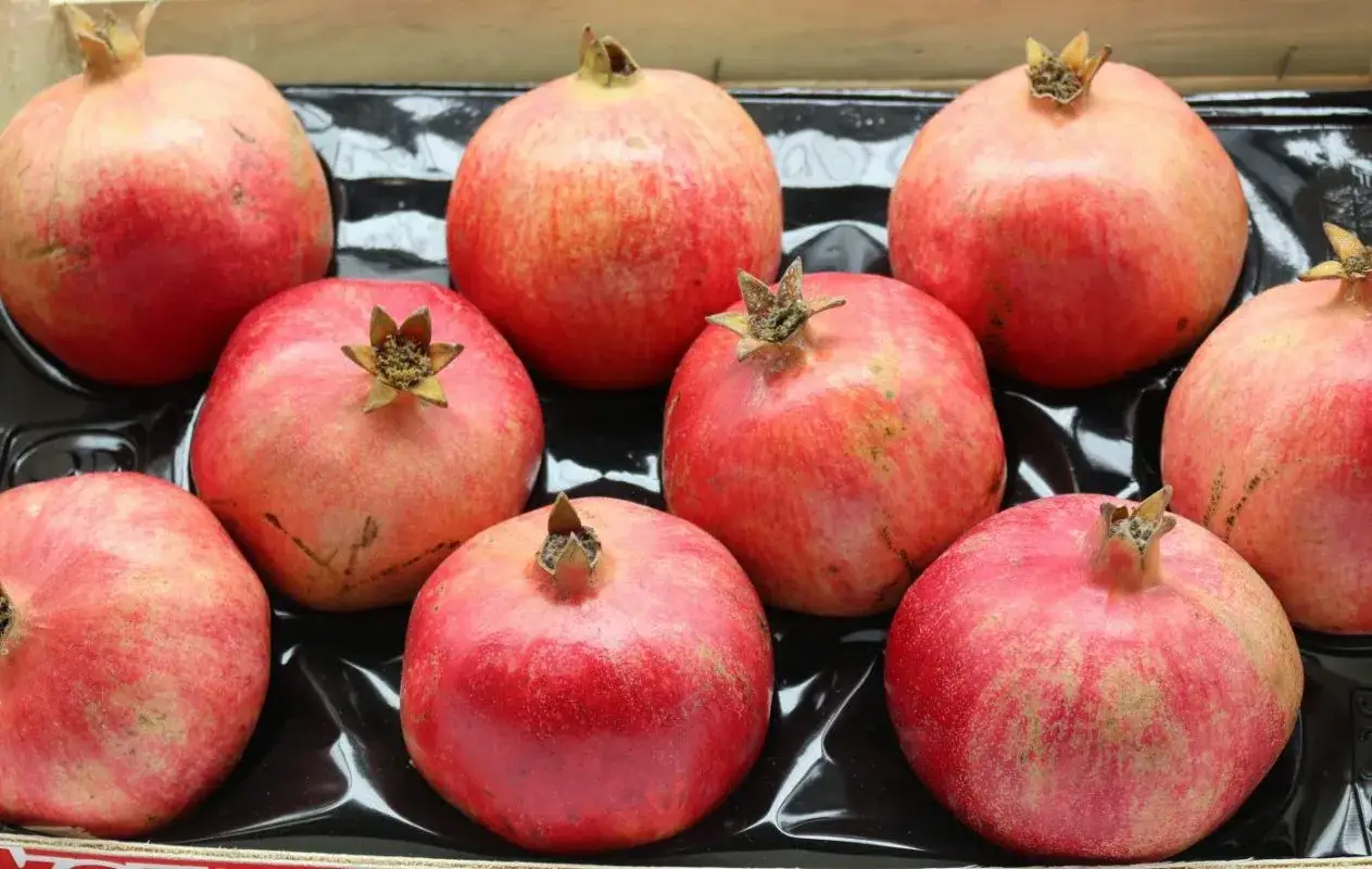 Mehrere rote Granatäpfel liegen in einer schwarzen Schale, bereit für den Verkauf in Deutschland.