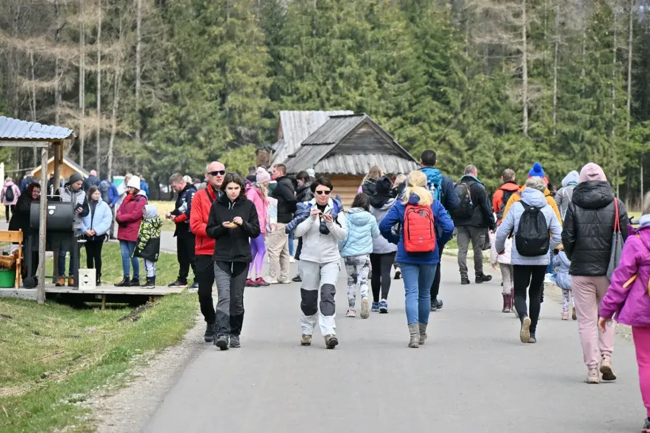 zakaz wprowadzania psów Tatrzański Park Narodowy