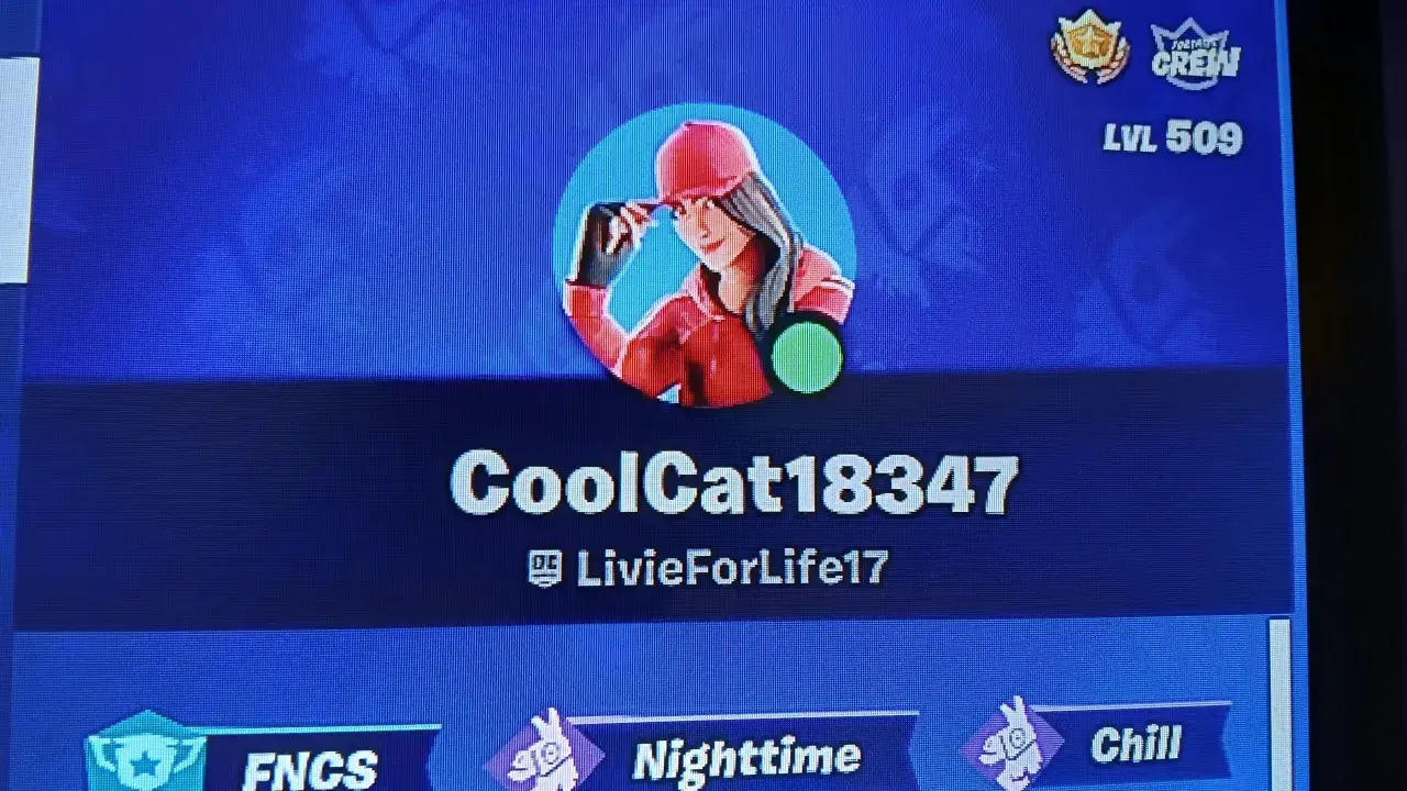 Profil gracza Fortnite 