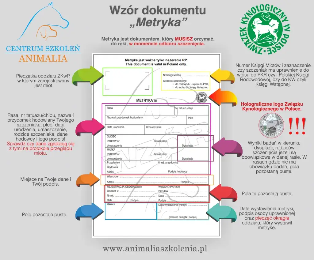 Wz&oacute;r metryki psa z hologramem