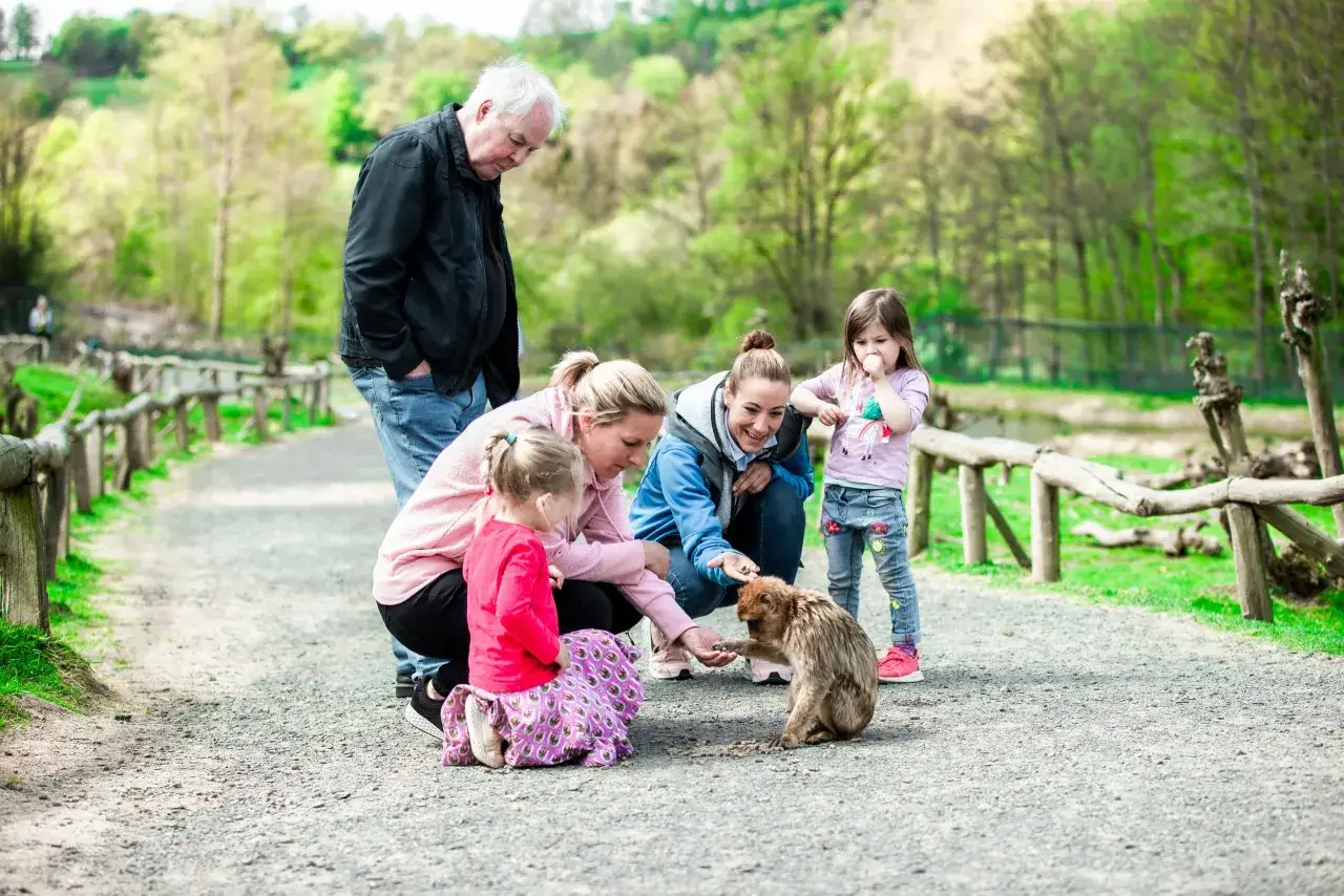 Familie füttert Affen auf einem Erlebnisbauernhof im Bergischen Land. Ein Großvater schaut zu, während die Frauen und Kinder den Tieren Futter geben.