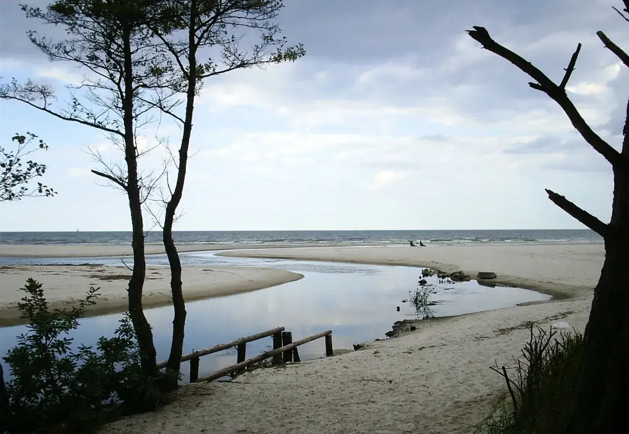 Plaża nad Jeziorem Żarnowieckim, z meandrującą rzeką i drzewami. Idealne miejsce na relaks i podziwianie przyrody.