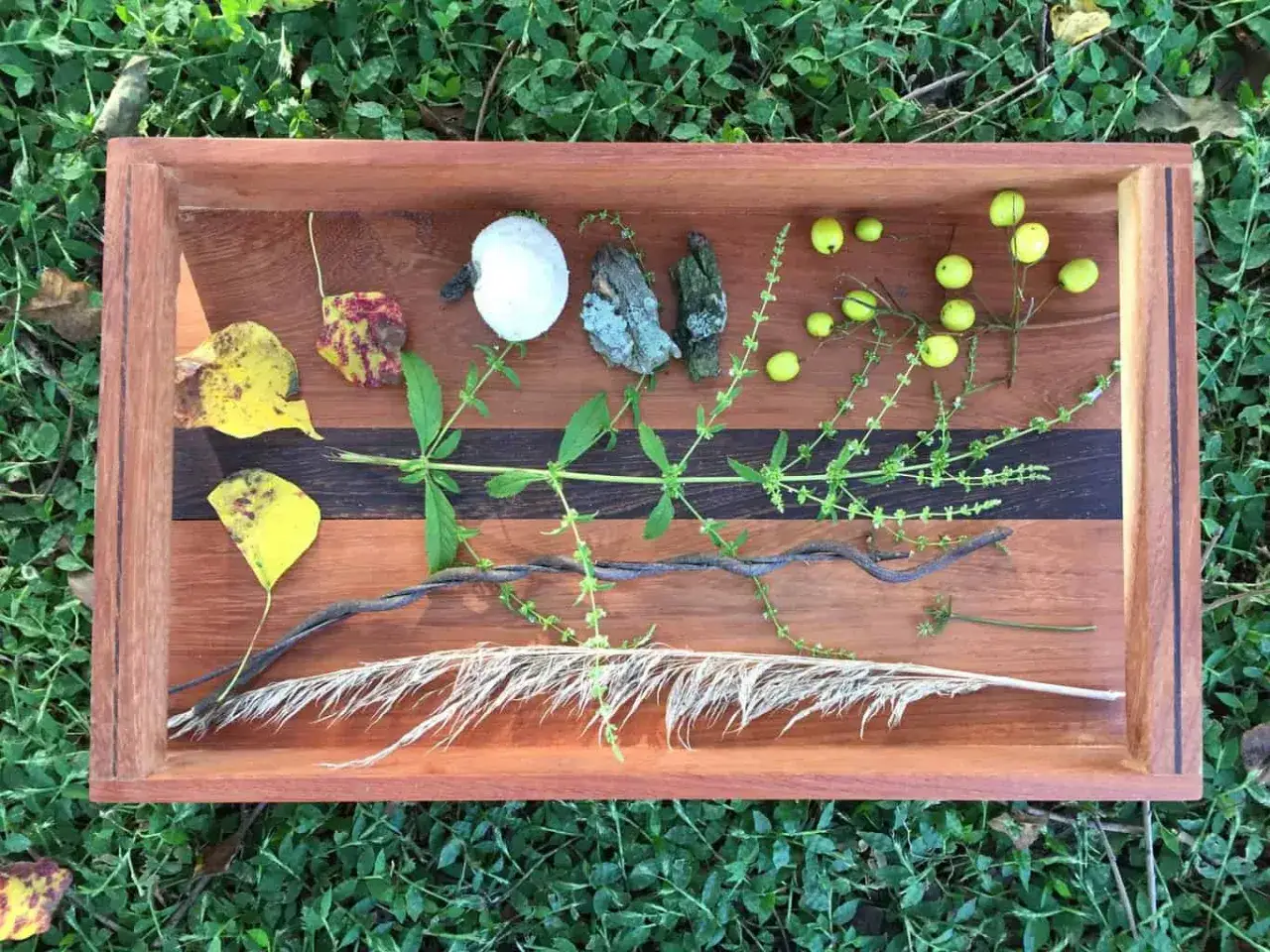 Bandeja de madera con hojas, ramas, piedras y bayas, ideal para montessori actividades sensoriales para niños.