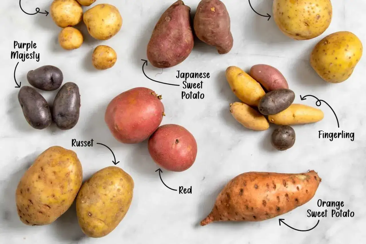 Différentes variétés de pommes de terre pour le gril