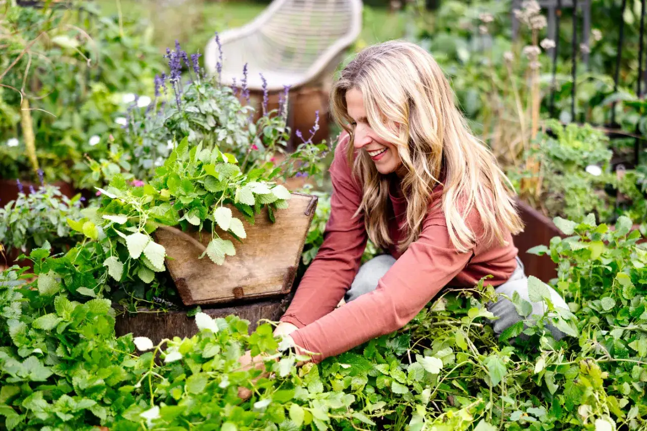 Une femme blonde rit en récoltant de la mélisse dans un jardin luxuriant.