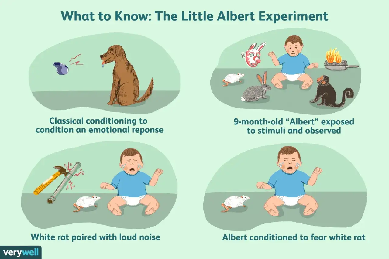 Illustrazione dell'esperimento piccolo Albert: condizionamento di un bambino a temere un topo bianco, associato a rumori forti.