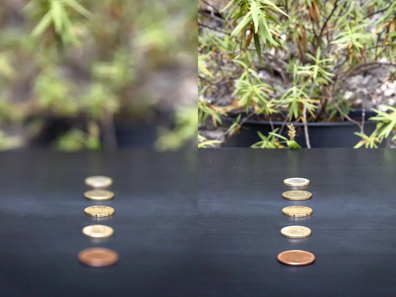 Pièces de monnaie alignées sur une table, avec un arrière-plan flou à gauche et net à droite, illustrant le **mode priorité ouverture**.