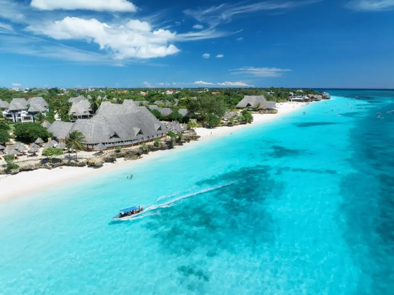 Plaża z palmami i turkusową wodą na Zanzibarze