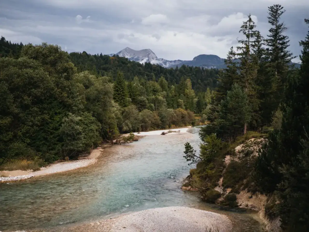Ein Fluss mit klarem Wasser schl&auml;ngelt sich durch einen Wald. Berge ragen im Hintergrund auf. Perfekt zum Wandern an der Isar.