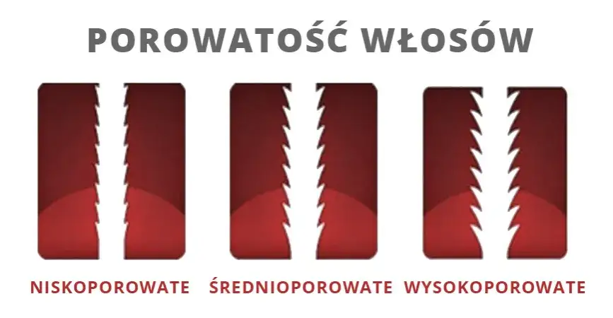 włosy wysokoporowate niskoporowate średnioporowate porównanie
