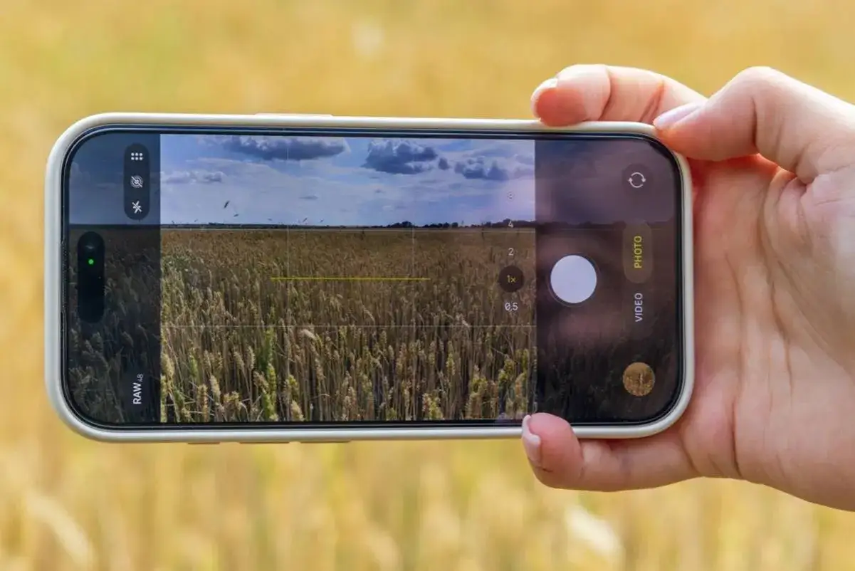 Une main tient un téléphone pour prendre une photo d'un champ de blé doré sous un ciel bleu avec des nuages.