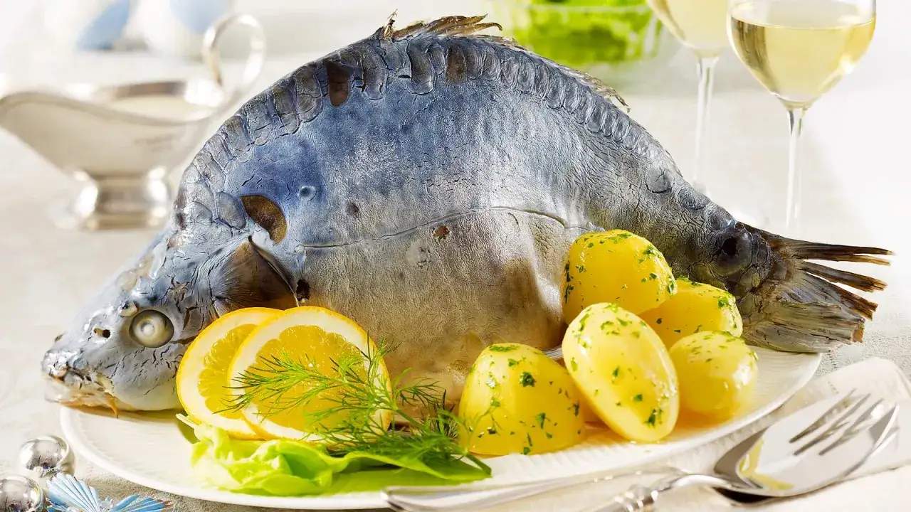 Ein festlich angerichteter Karpfen mit Salzkartoffeln, Orangenscheiben und Dill. Ein Genuss, um Karpfen zu essen!