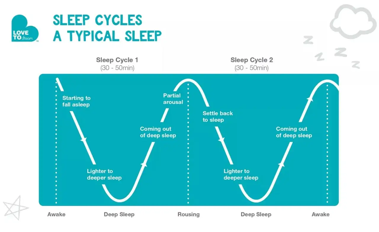 Gráfico ilustra el ciclo sueño bebé, mostrando las fases de sueño ligero, profundo y despertar.