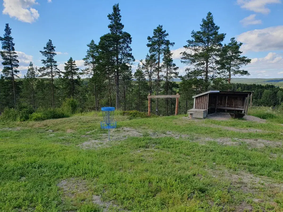 En blå discgolfkorg står på en gräsklädd kulle med en skog i bakgrunden. En vindskydd och en gunga finns också på platsen, perfekt för en runda discgolf i Hudiksvall.