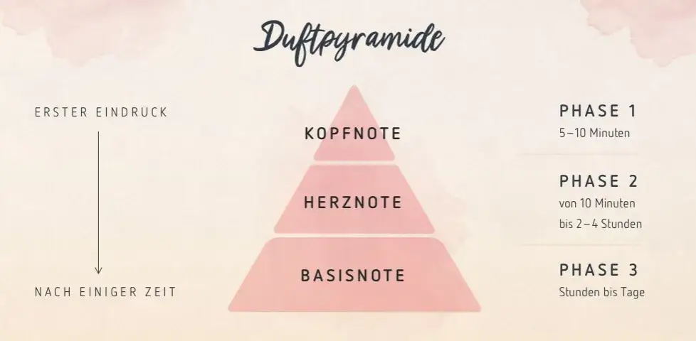 Duftpyramide Erklärung