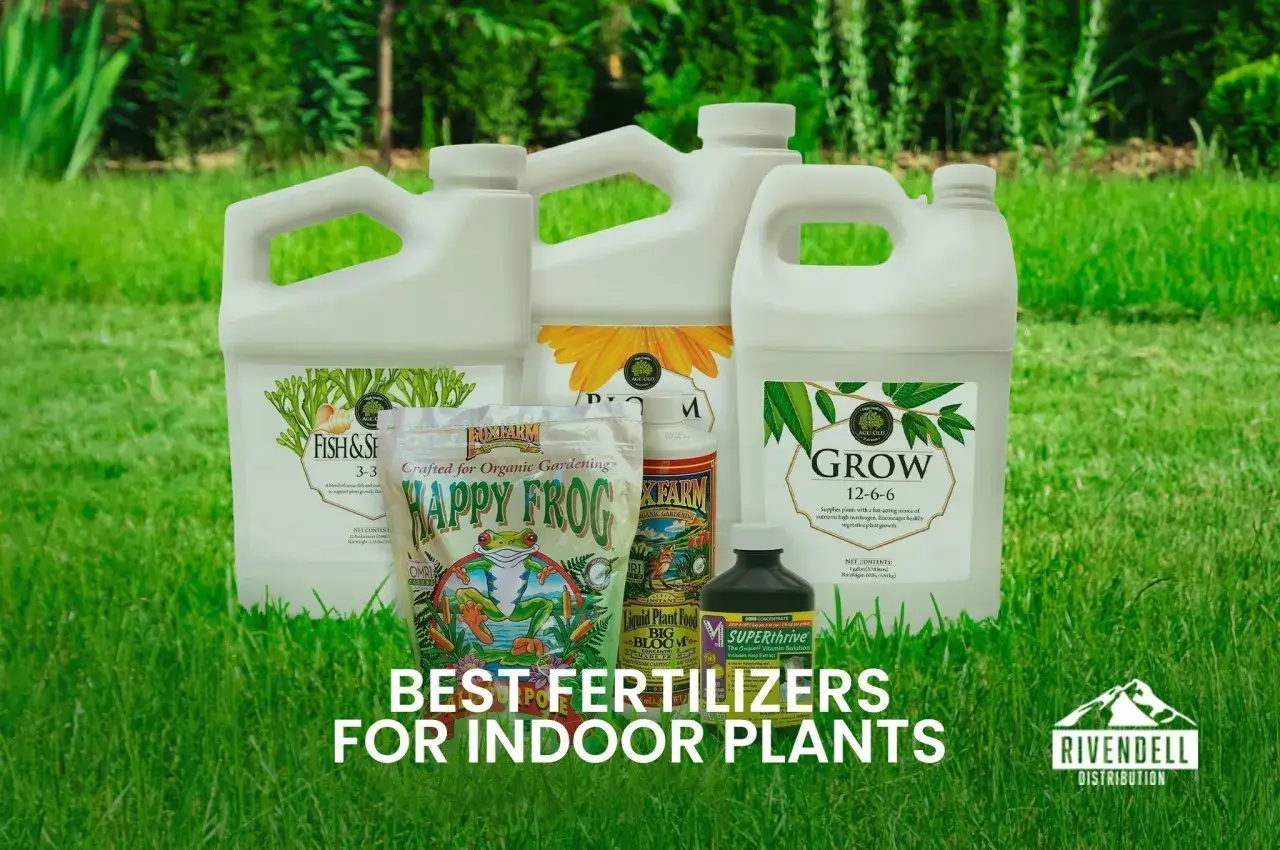 Plusieurs bouteilles d'engrais naturel pour plante verte d'int&eacute;rieur, dont 