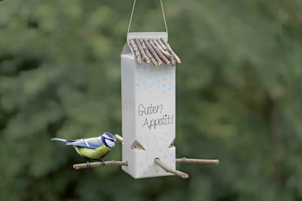 Vogelfutterstation selber bauen mit Kindern: Ein Kohlmeise pickt Körner aus einer selbstgebastelten Futterstation aus einem Milchkarton.