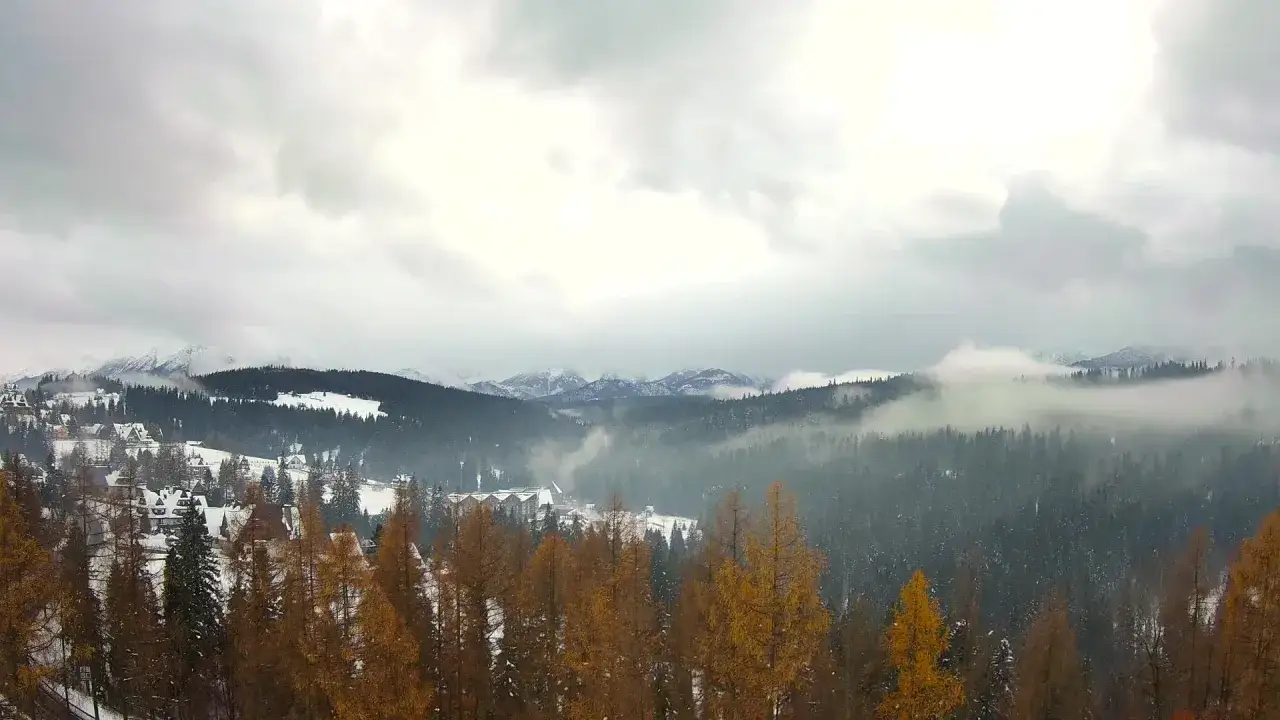 Panorama Tatr z Olczańskiego Wierchu