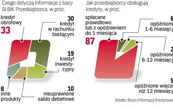 różne bazy danych kredytowych w Polsce