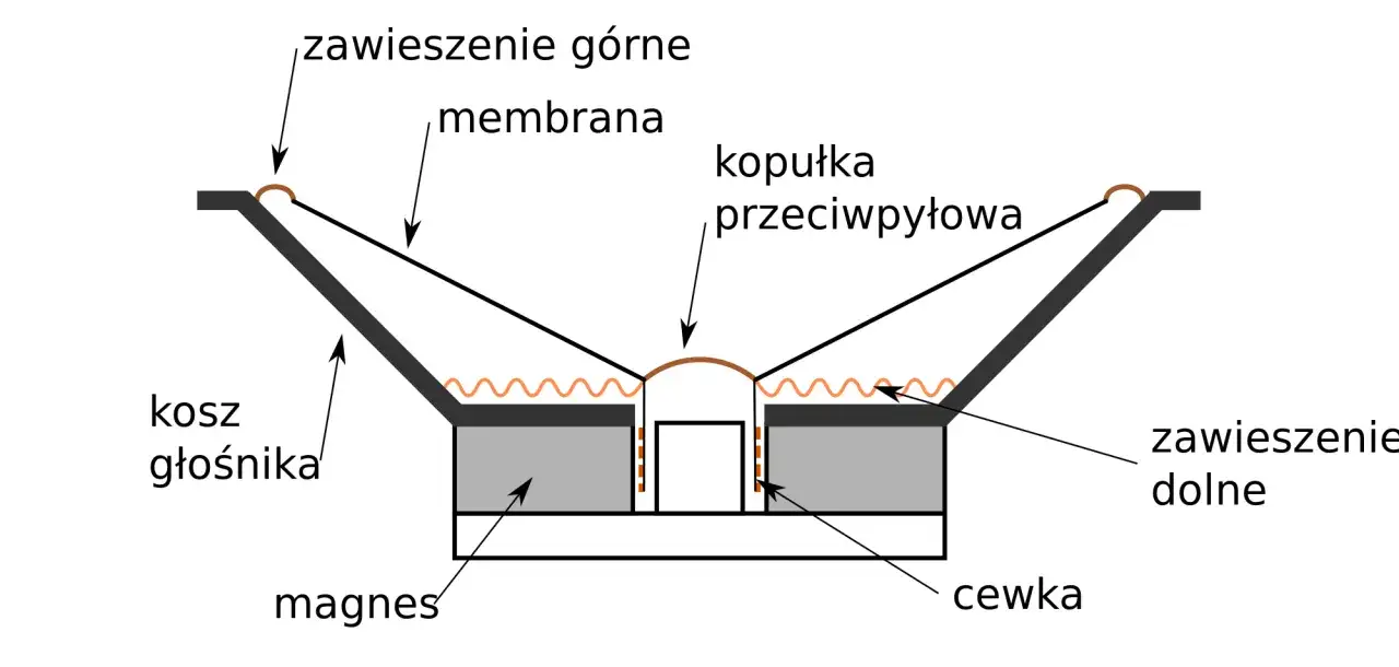 Schemat budowy kolumny głośnikowej: membrana, zawieszenie górne i dolne, kopułka przeciwpyłowa, kosz, magnes i cewka.