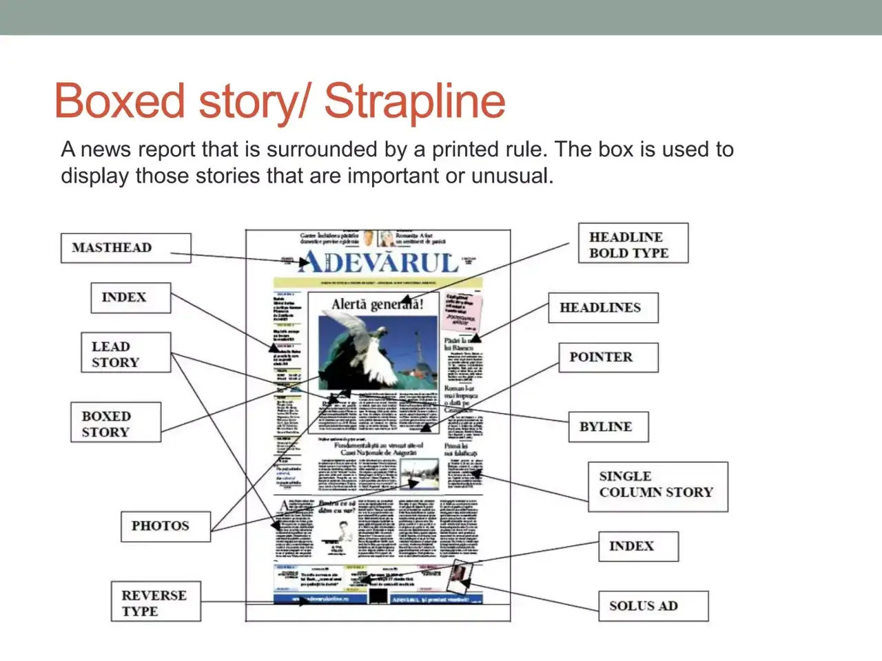 Schema zeigt die merkmale einer zeitung, wie Masthead, Index, Lead Story und Boxed Story.
