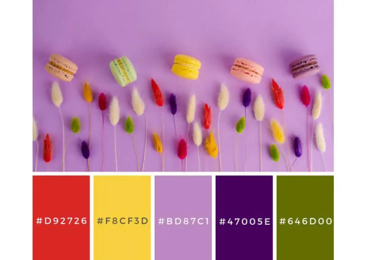 Macaron colorati su sfondo lilla, con spighe di fiori secchi. Il marrone e fucsia stanno bene insieme, creando un contrasto vivace.