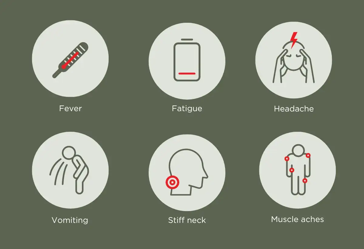 Objawy polio: gorączka, zmęczenie, ból głowy, wymioty, sztywność karku, bóle mięśni.