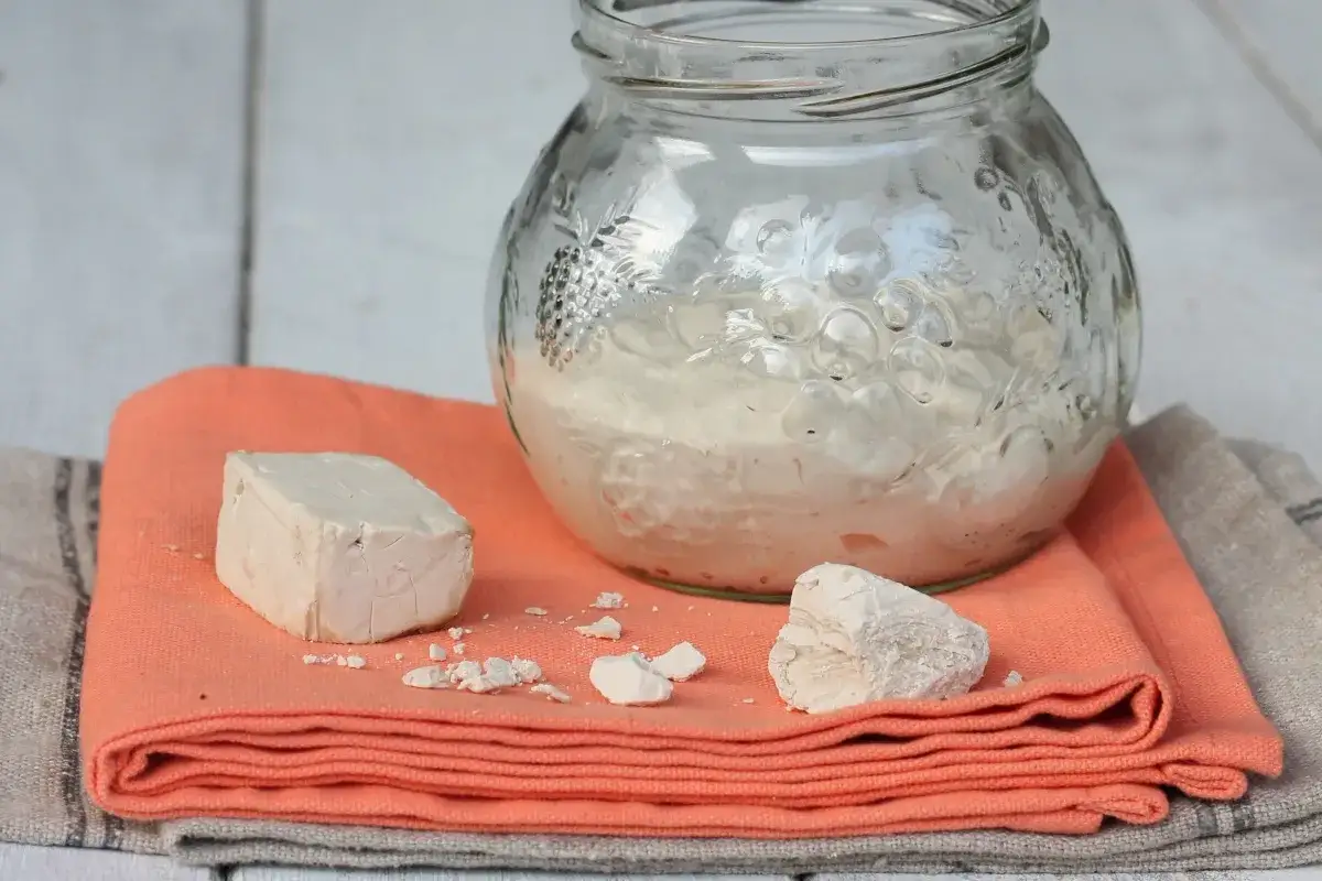 Cubetti di lievito di birra fresco e un barattolo con lievito madre attivo. Ingredienti per pane fatto in casa.