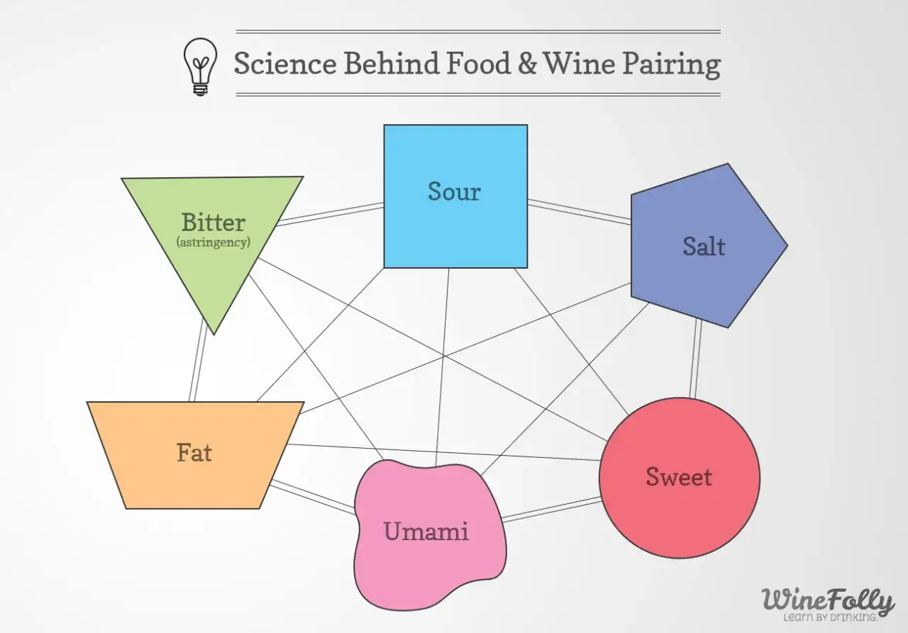 Schema der Geschmackskomponenten: Bitter, Fett, Umami, S&uuml;&szlig;, Sauer, Salz. Hilft bei der perfekten Food Pairing Tabelle.