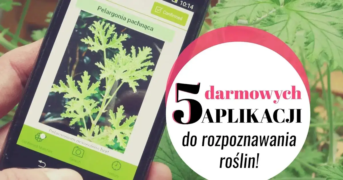 aplikacje do rozpoznawania roślin ikony