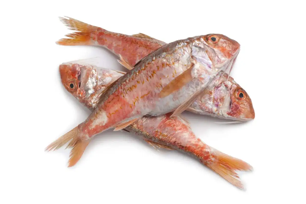 Tres pescados de roca galicia, de color rojizo y con escamas plateadas, apilados sobre fondo blanco.