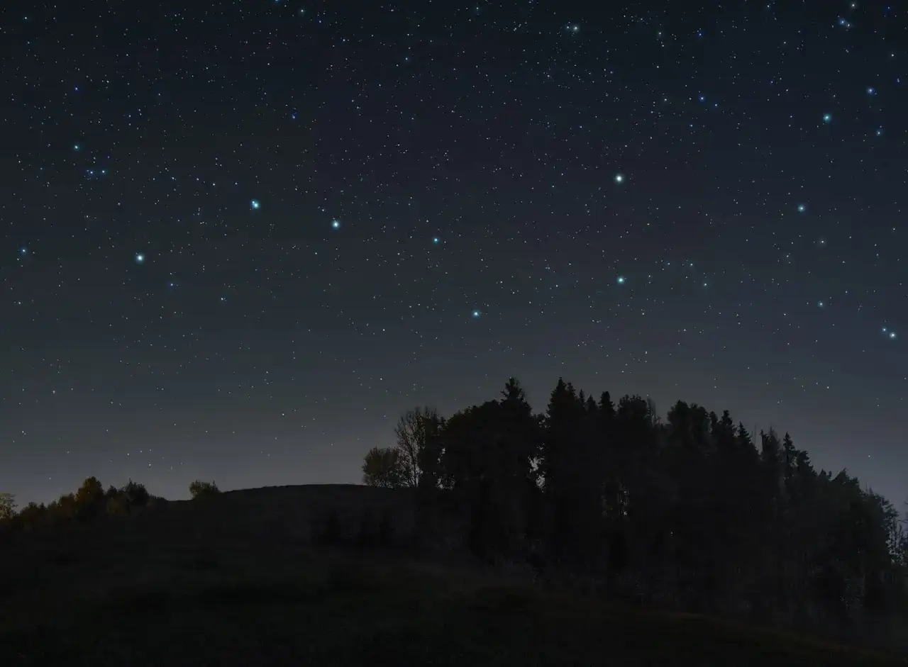 Nocne niebo nad lasem. Widać konstelację Wielkiej Niedźwiedzicy, która pomaga odnaleźć, gdzie znajduje się gwiazda polarna.
