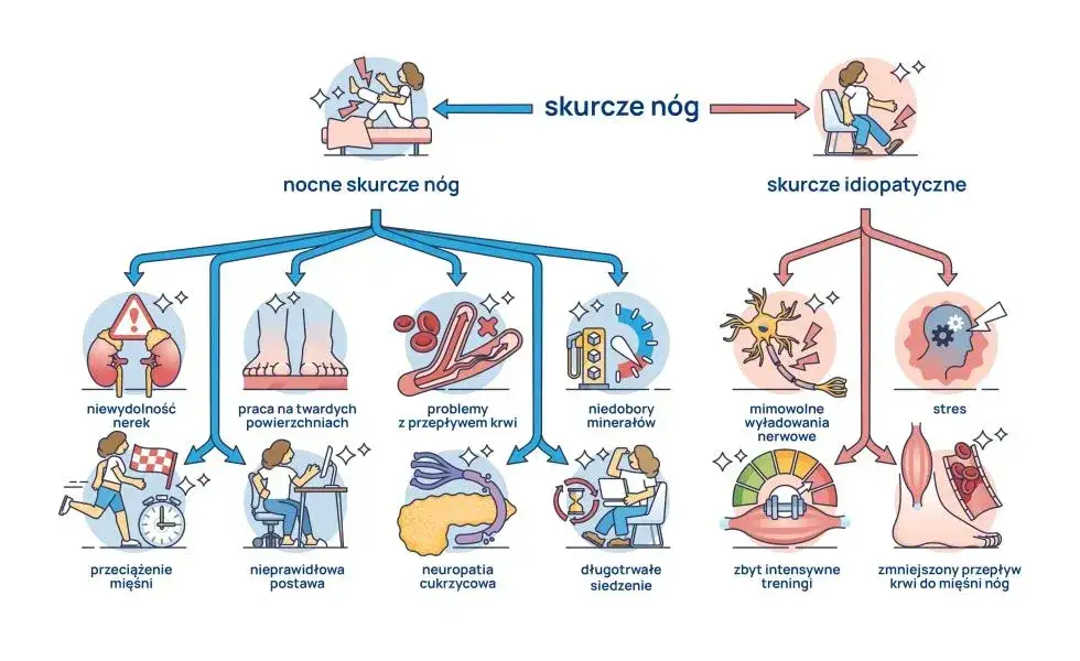 przyczyny skurczów mięśni infografika