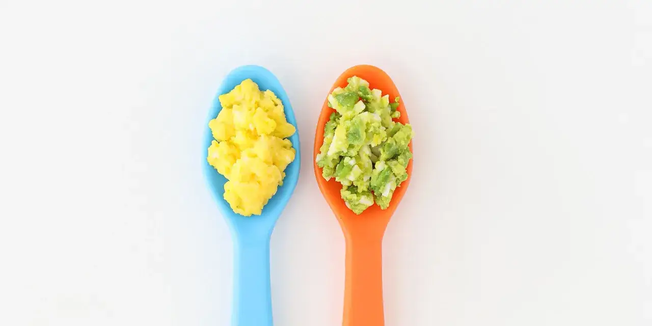 Deux cuill&egrave;res, une bleue avec des &oelig;ufs brouill&eacute;s et une orange avec de l'avocat et des &oelig;ufs. Id&eacute;al pour un b&eacute;b&eacute;, quel &acirc;ge ?