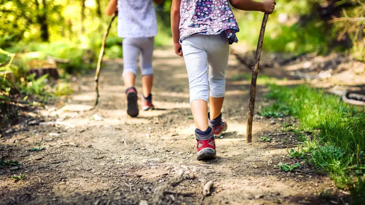 Dzieci wędrują leśną ścieżką, odkrywając, co to znaczy **outdoor** – przygoda na łonie natury.
