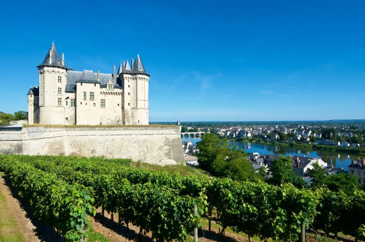 Castello imponente su un vigneto rigoglioso, con vista su una città e un fiume, evocando la bellezza di Vouvray.