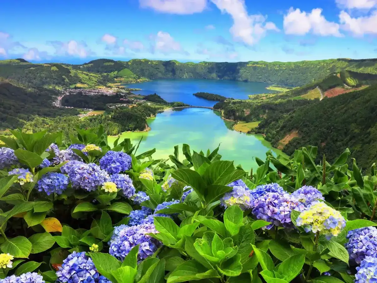 Atemberaubende portugiesische Landschaft mit bl&uuml;henden Hortensien im Vordergrund und einem t&uuml;rkisfarbenen See, umgeben von gr&uuml;nen H&uuml;geln.