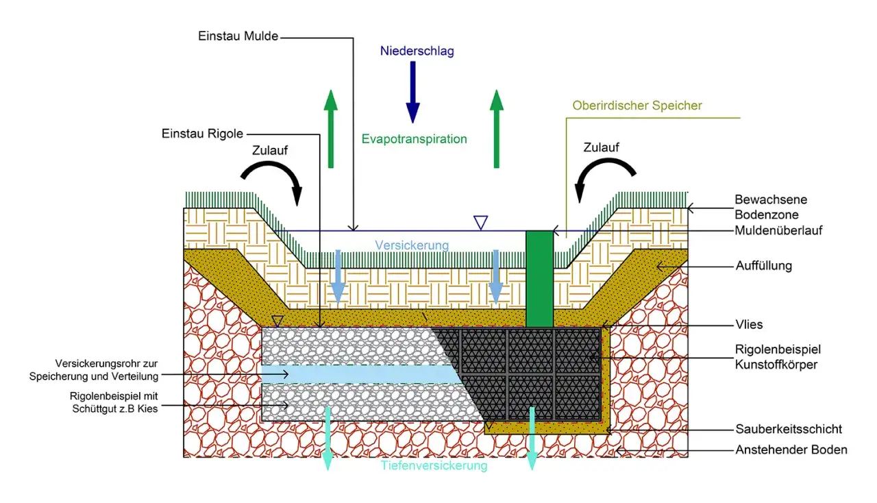 Schema eines Mulden-Rigolen-Systems zur Regenwasserbewirtschaftung. Niederschlag versickert in Mulde und Rigole, speichert und verteilt Wasser.