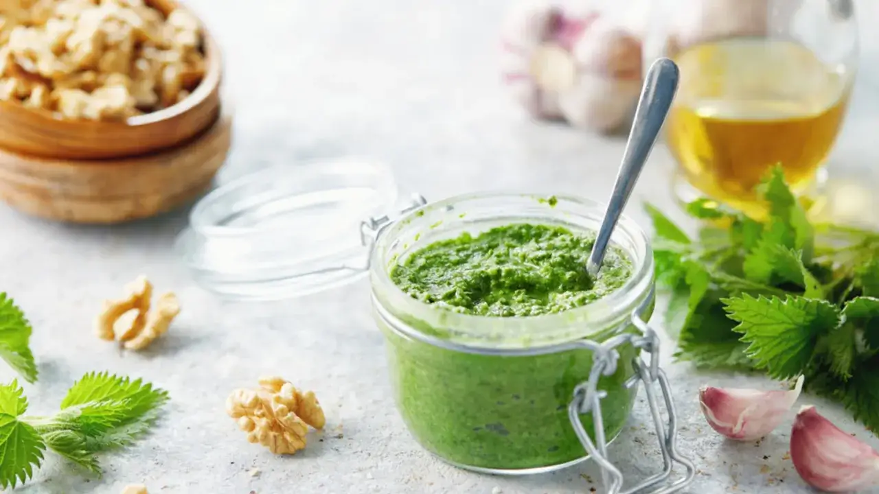 Słoik z zielonym pesto z pokrzywy, obok orzechy włoskie, czosnek i gałązka pokrzywy.