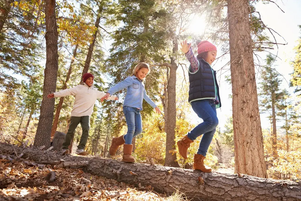 Kinder balancieren auf einem Baumstamm im Wald. Ein Junge mit roter M&uuml;tze, ein M&auml;dchen in Jeans und ein M&auml;dchen mit Weste und M&uuml;tze genie&szlig;en den Tag im Waldkindergarten.