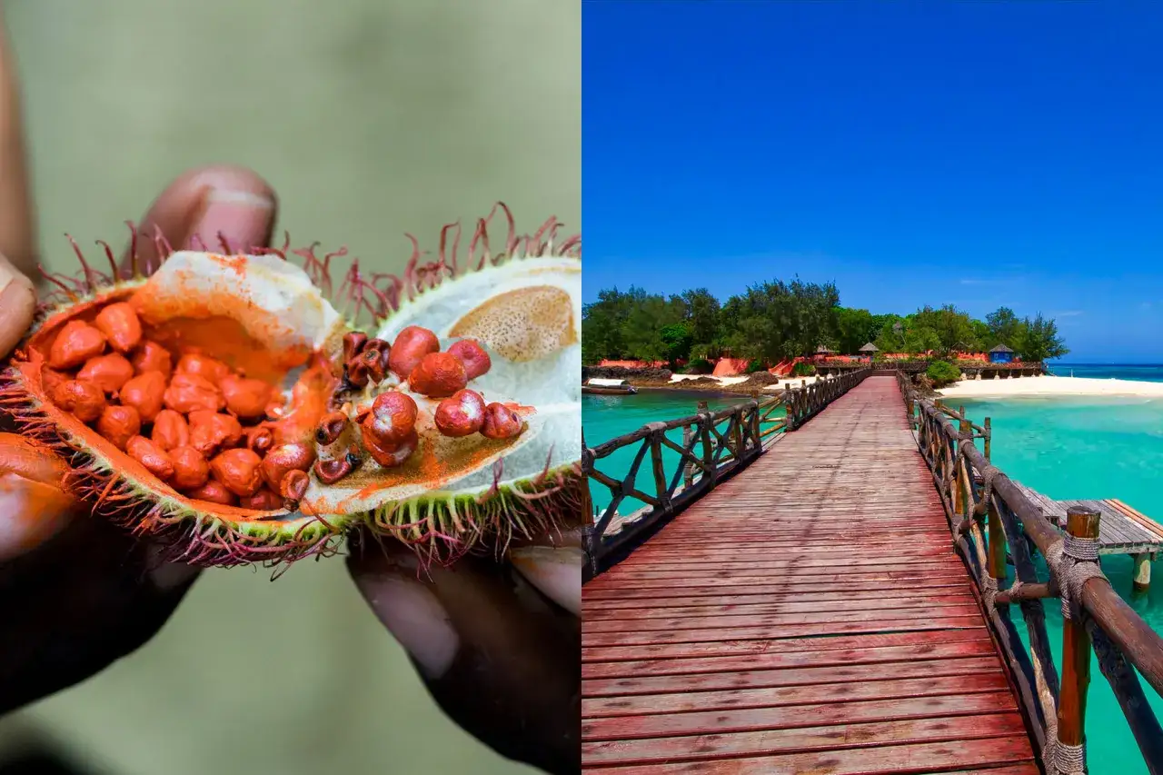 Zanzibar ceny: owoc annato i drewniany pomost na rajskiej plaży. Marzysz o takich widokach?