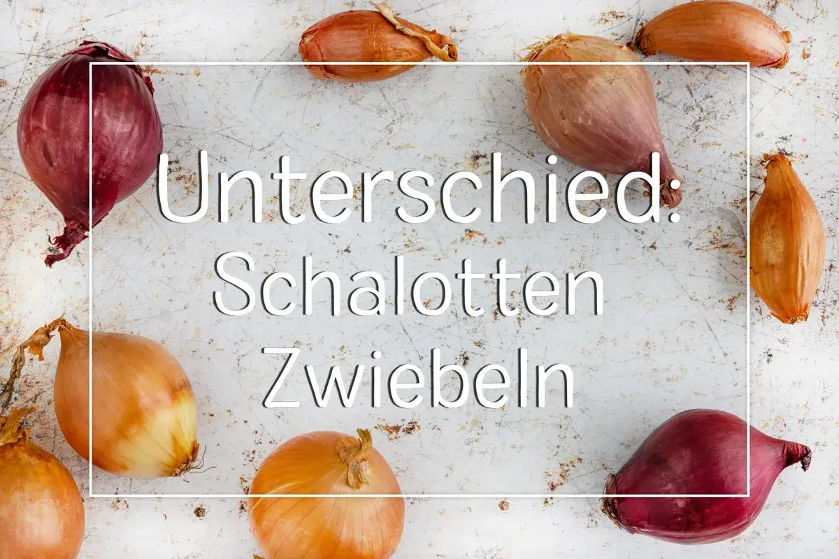 Unterschied zwischen Schalotten und Zwiebeln: Mehrere Schalotten und Zwiebeln liegen auf einem rustikalen Untergrund.