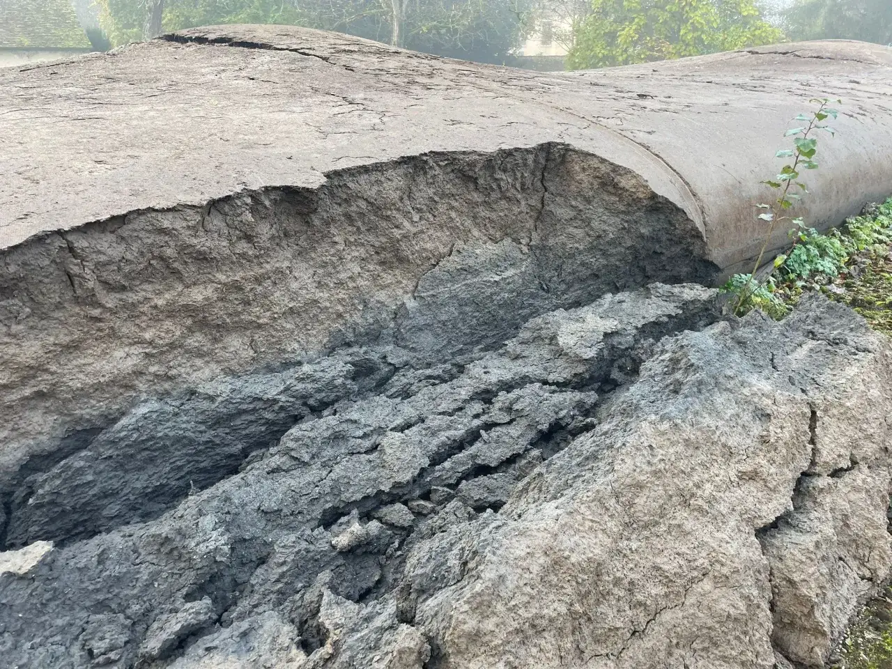 Le fond de l'étang révèle une terre craquelée et érodée, témoignant d'un assèchement spectaculaire.