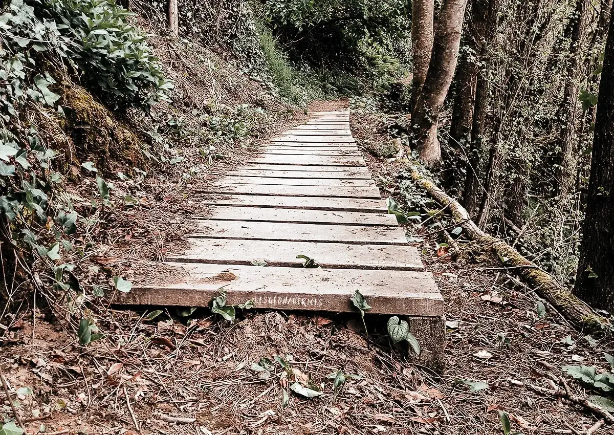 Chemin de planches en forêt, idéal pour une randonnée le long de la Rance. La nature reprend ses droits sur le sentier.