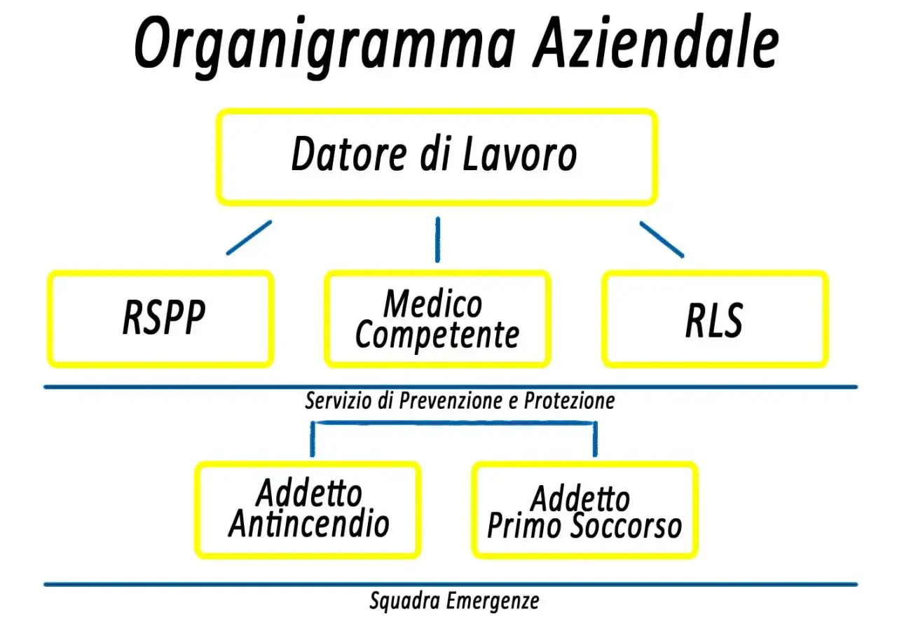 Organigramma: il Datore di Lavoro nomina il RSPP, il Medico Competente e l'RLS, che coordinano il Servizio di Prevenzione e Protezione.