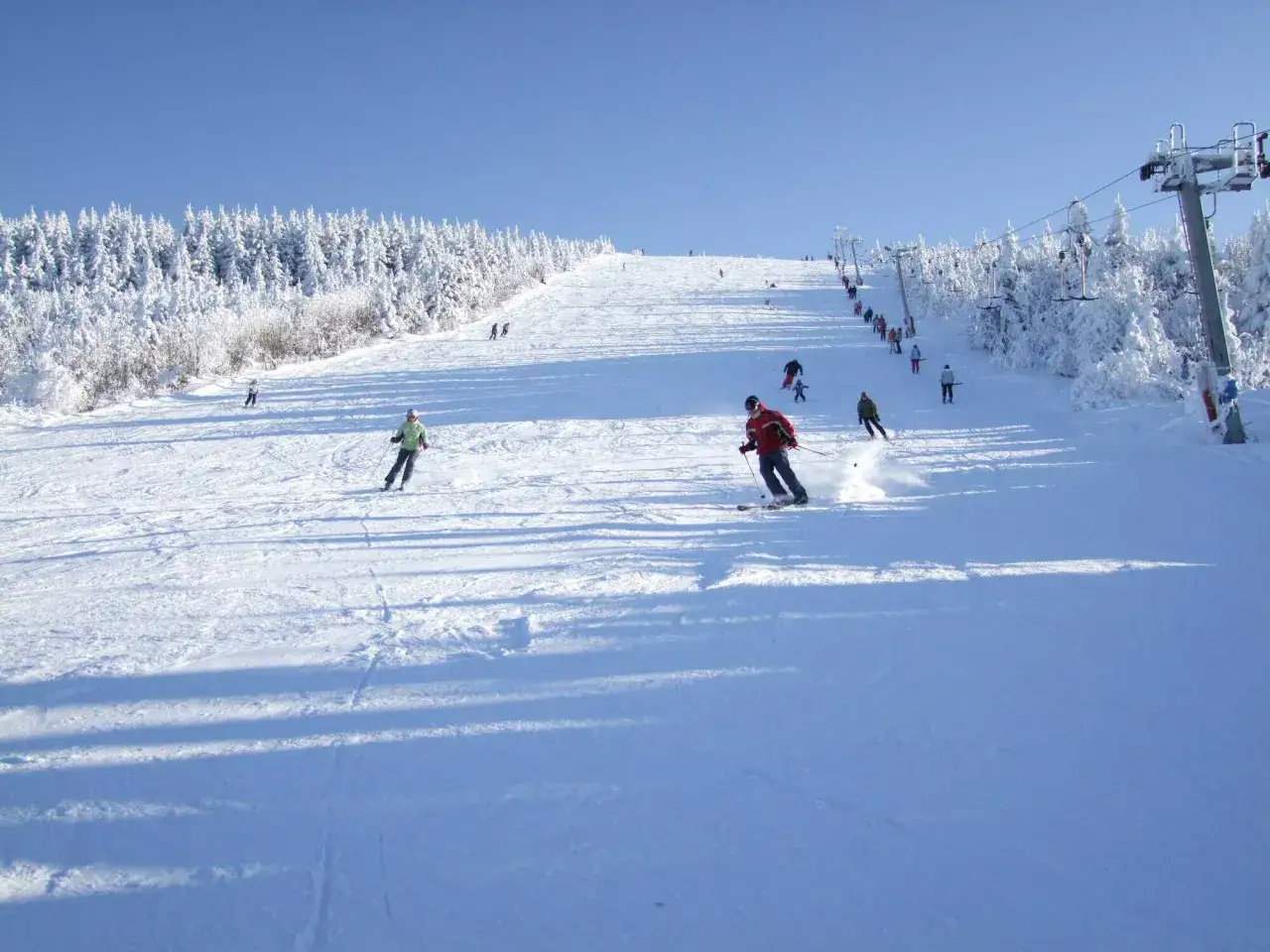 Narciarze szusują po ośnieżonym stoku na **Červenohorské sedlo ski**. W tle widać zaśnieżony las i wyciąg krzesełkowy.