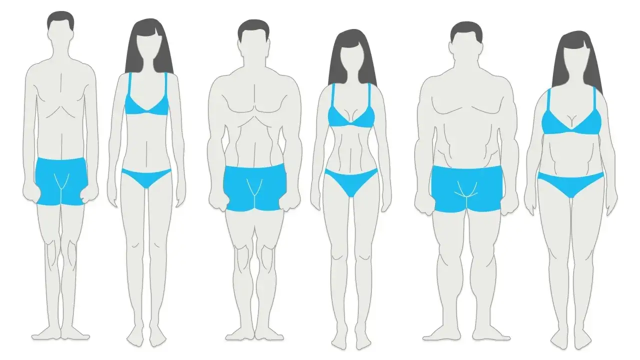 Uomini e donne con diversi tipi di corpo: ectomorfo, mesomorfo, endomorfo.