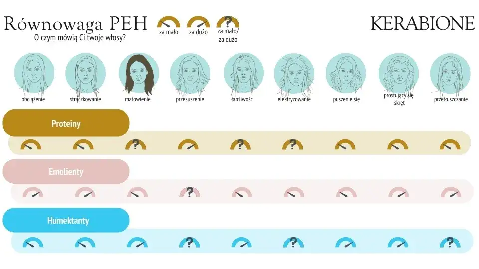 równowaga PEH włosy wysokoporowate infografika