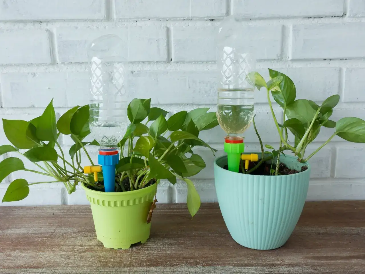 Dos macetas con plantas verdes y sistemas caseros para regar plantas en vacaciones, hechos con botellas de pl&aacute;stico.