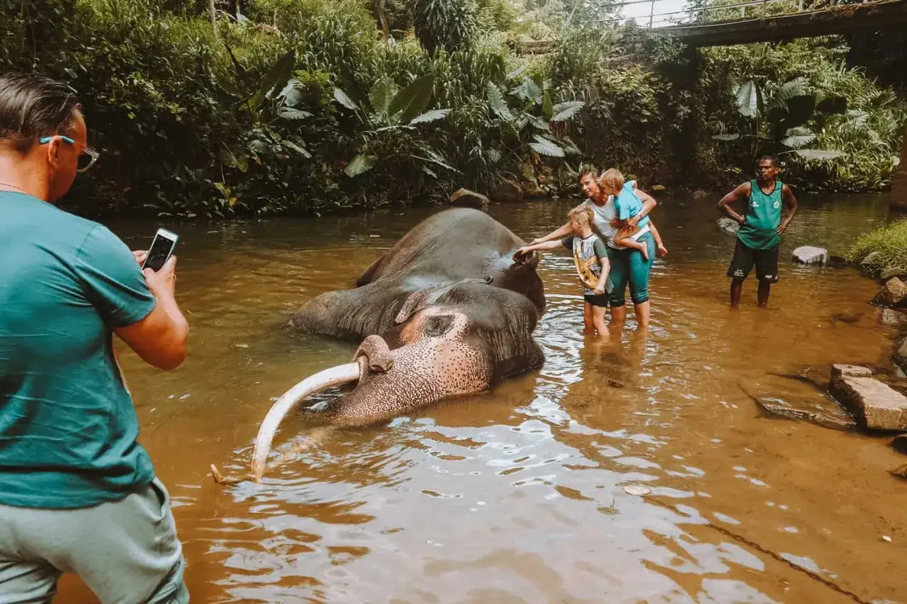 Una familia disfruta de un ba&ntilde;o con elefantes en Sri Lanka con ni&ntilde;os. Un hombre toma fotos con su m&oacute;vil.